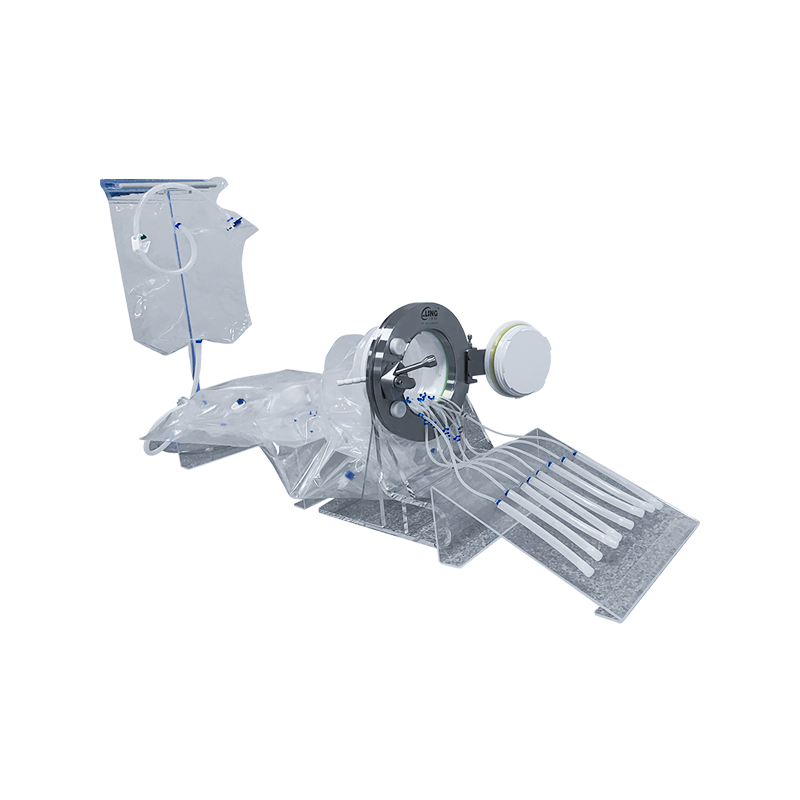 আরটিপি বিটা ব্যাগ