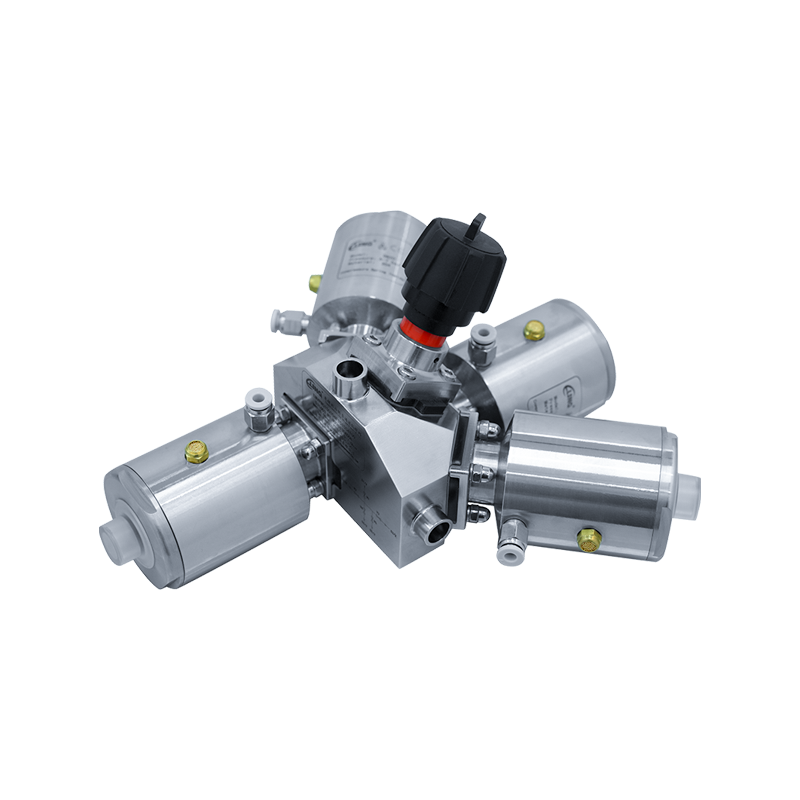 গাঁজন প্রক্রিয়া ভালভ